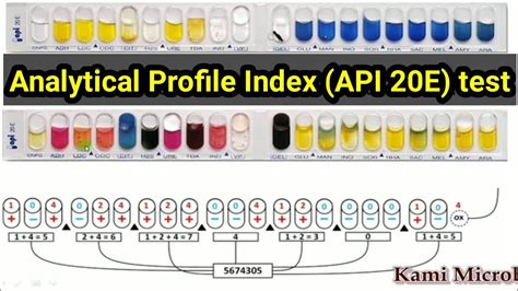 analytical profile index|api test kit instructions.